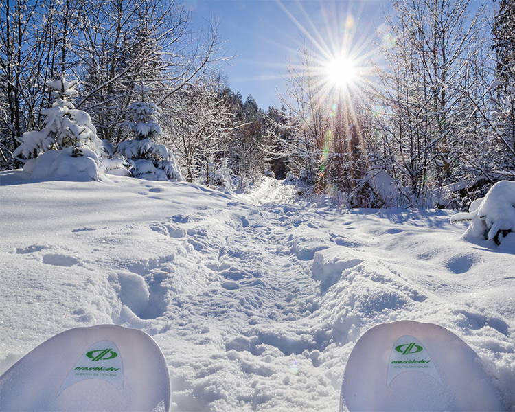 Sciare sui pendii di neve fresca